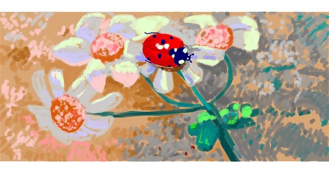 Drawing of Ladybug by Женя
