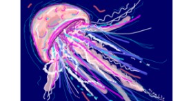 Drawing of Jellyfish by ❀𝓜𝓪𝓻𝓲❀