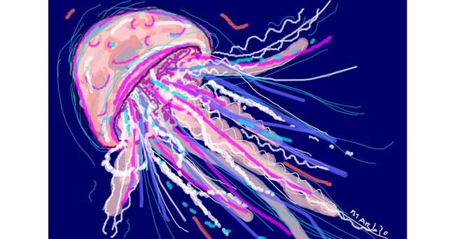 Drawing of Jellyfish by ❀𝓜𝓪𝓻𝓲❀