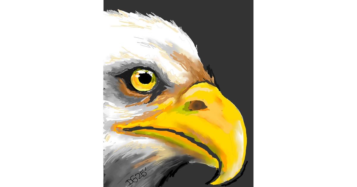 Full Size Drawing