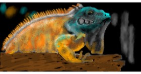 Drawing of Lizard by SAM AKA MARGARET 🙄