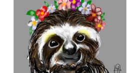 Drawing of Sloth by Unknown