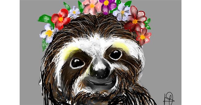 Drawing of Sloth by Unknown