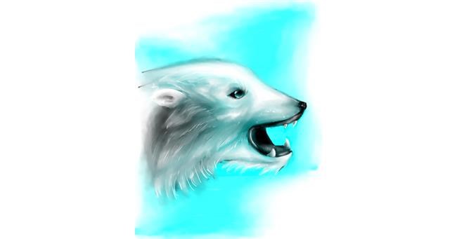 Drawing of Polar Bear by Kryo Phoenix