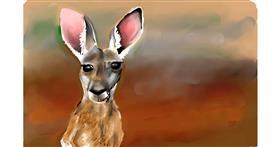 Drawing of Kangaroo by Rose rocket