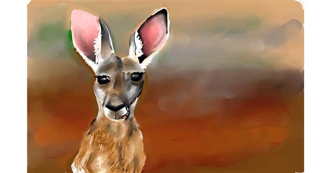Drawing of Kangaroo by Rose rocket