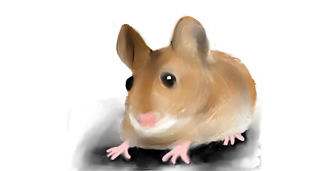 Drawing of Mouse by Emit