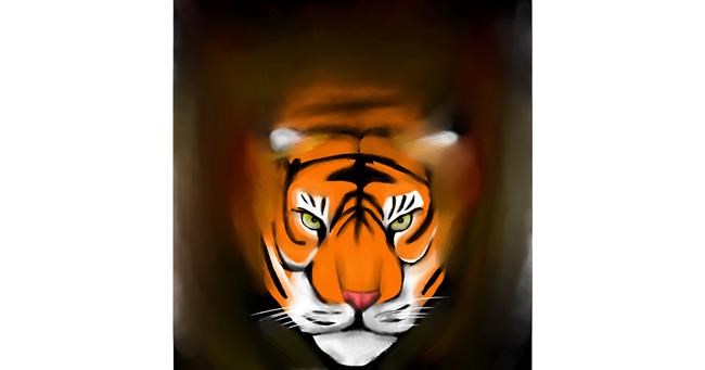 Drawing of Tiger by Put3