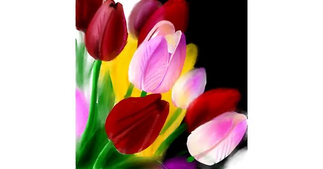 Drawing of Tulips by Lou