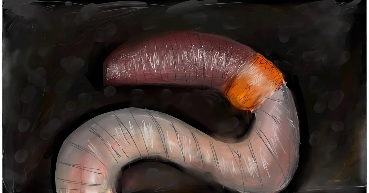 Drawing of Worm by Soaring Sunshine
