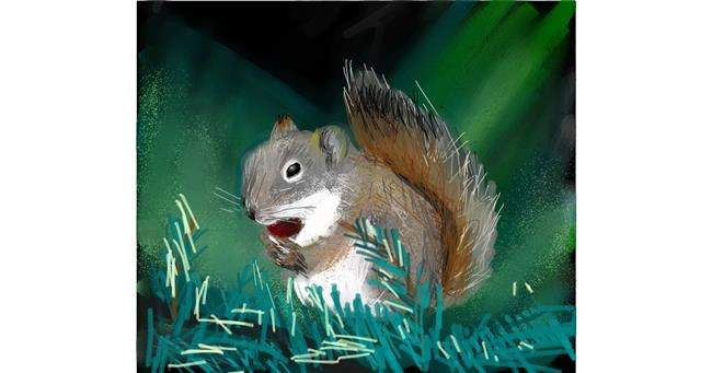Drawing of Squirrel by Muni
