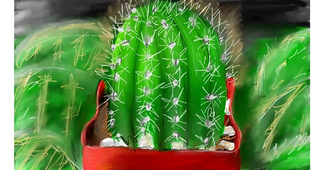 Drawing of Cactus by Mia