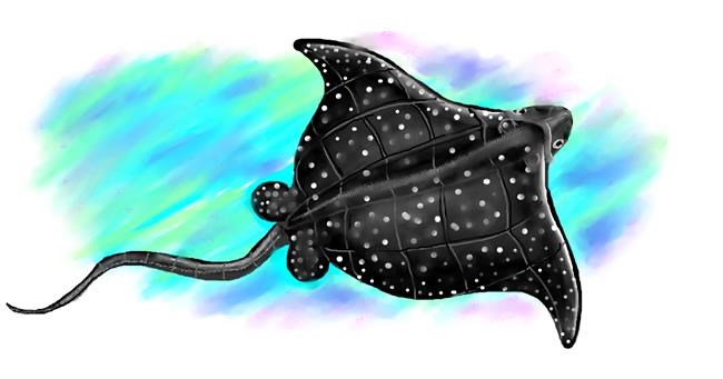 Drawing of Stingray by Debidolittle