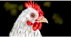 Drawing of Chicken by Eclat de Lune