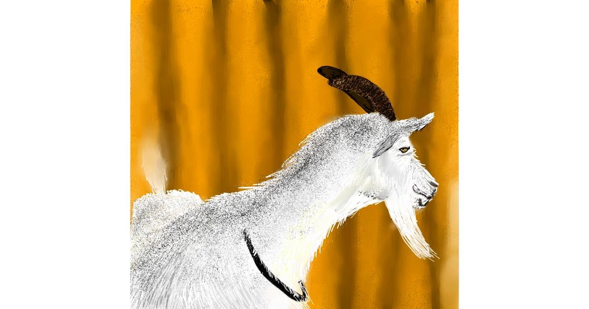 Drawing of Goat by Rash