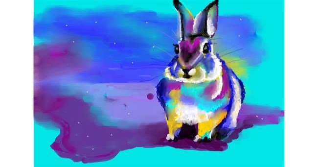 Drawing of Rabbit by 🌏rhythm💐