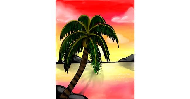 Drawing of Palm tree by Bri
