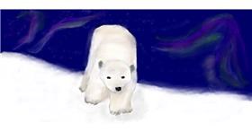 Drawing of Polar Bear by Soraya