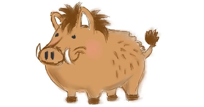 Drawing of Wild boar by InessaC