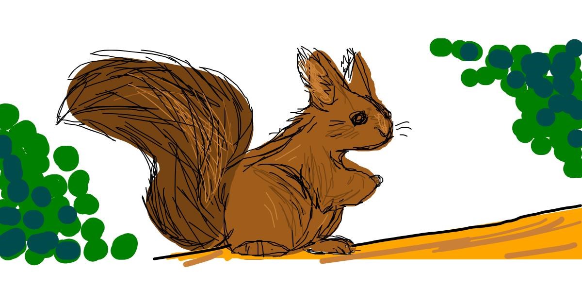 Drawing of Squirrel by Nan