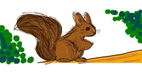 Drawing of Squirrel by Nan