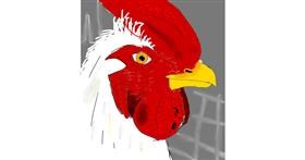 Drawing of Chicken by Levine Reuben