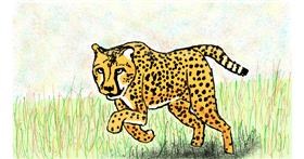 Drawing of Cheetah by Sam