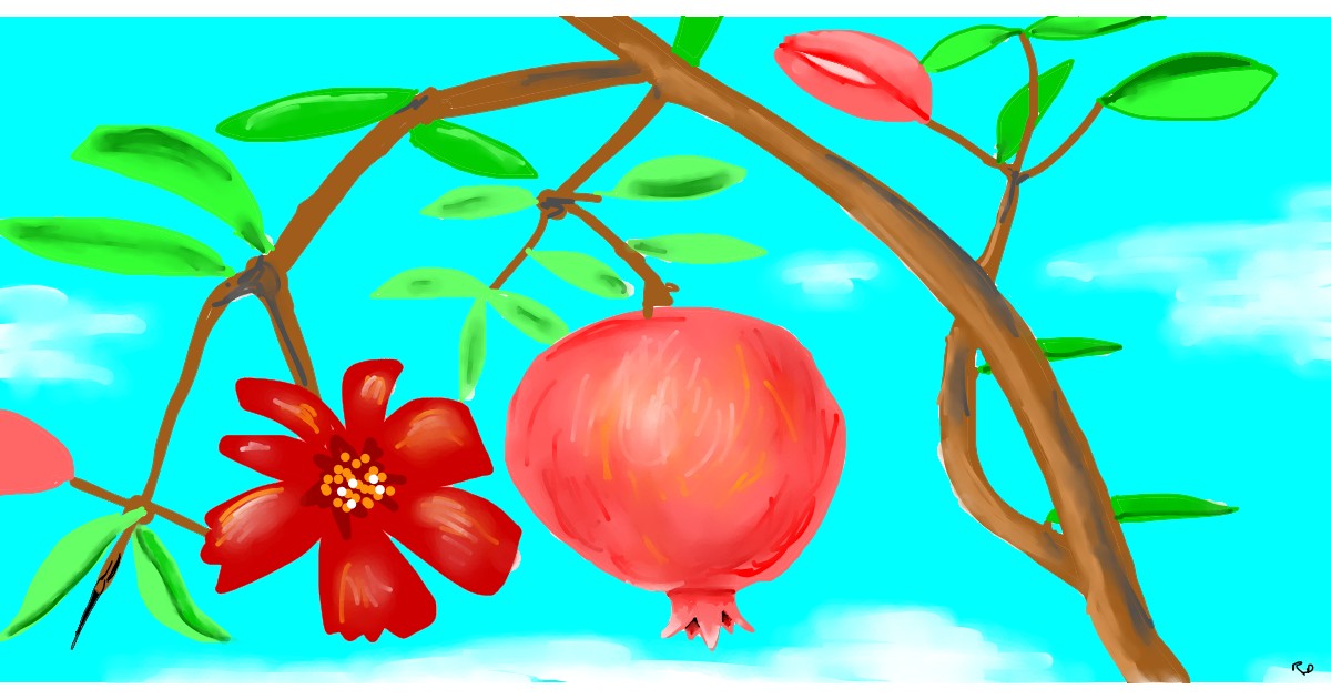 Full Size Drawing