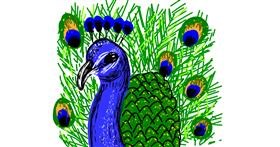 Drawing of Peacock by Geo-Pebbles