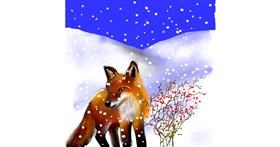 Drawing of Fox by Leah