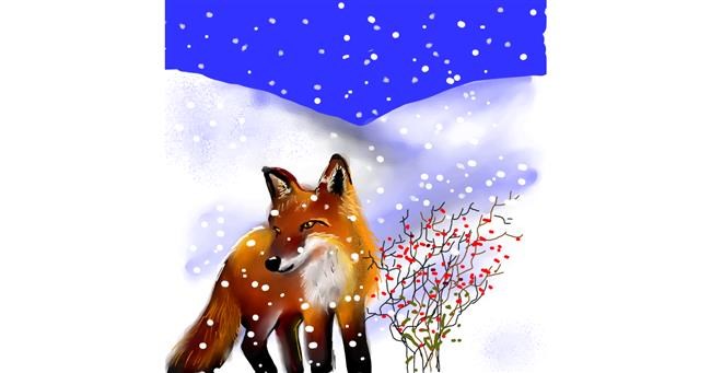 Drawing of Fox by Leah