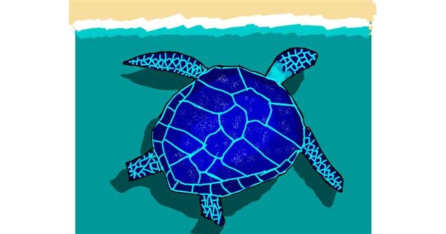 Drawing of Sea turtle by MaRi