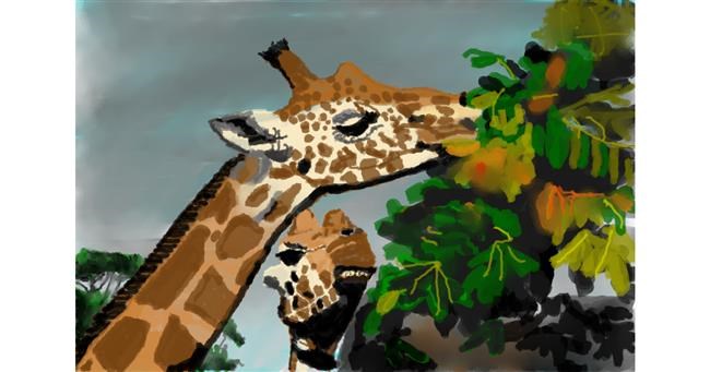 Drawing of Giraffe by VinnievanG