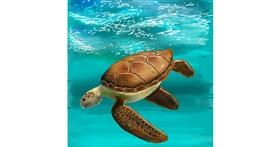 Drawing of Sea turtle by Andromeda