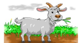 Drawing of Goat by Flowerpot