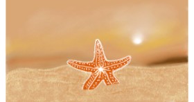Drawing of Starfish by Çhåching