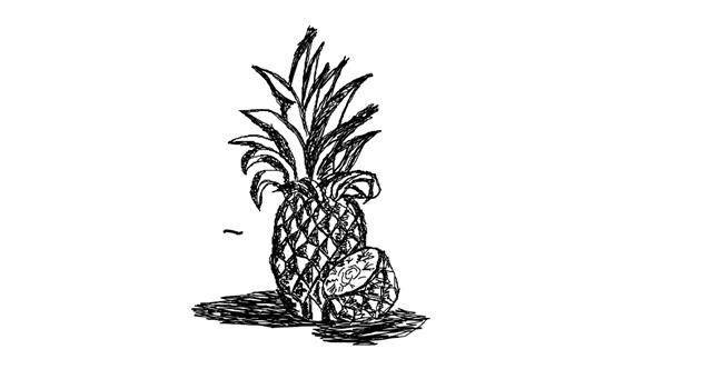 Drawing of Pineapple by SHADOW