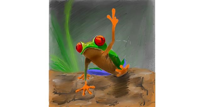 Drawing of Frog by Andromeda