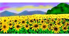 Drawing of Sunflower by justme❤️