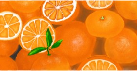 Drawing of Orange by Ana