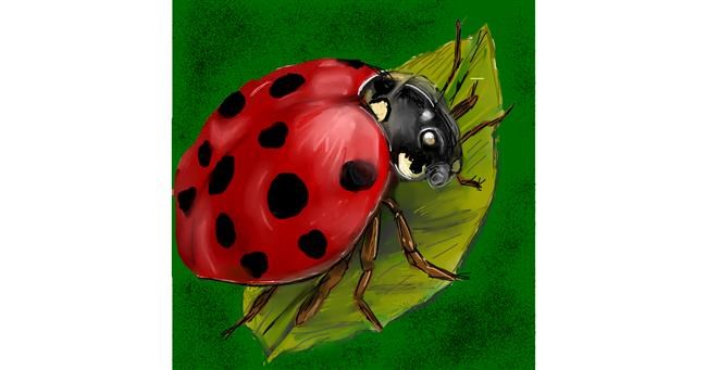 Drawing of Ladybug by KayXXXlee
