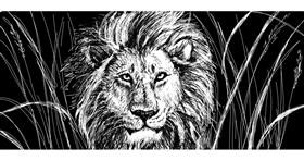 Drawing of Lion by Beebee