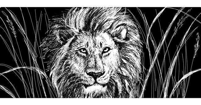 Drawing of Lion by Beebee