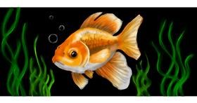 Goldfisch-Zeichnung von Annie