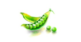 Drawing of Peas by Riya