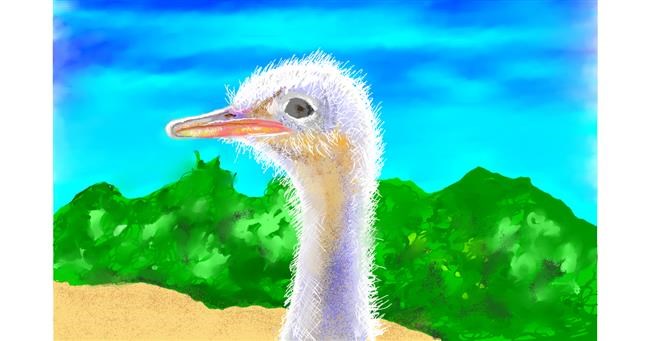 Drawing of Ostrich by GJP