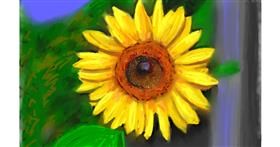 Drawing of Flower by DrawSomething