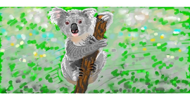 Drawing of Koala by shiNIN