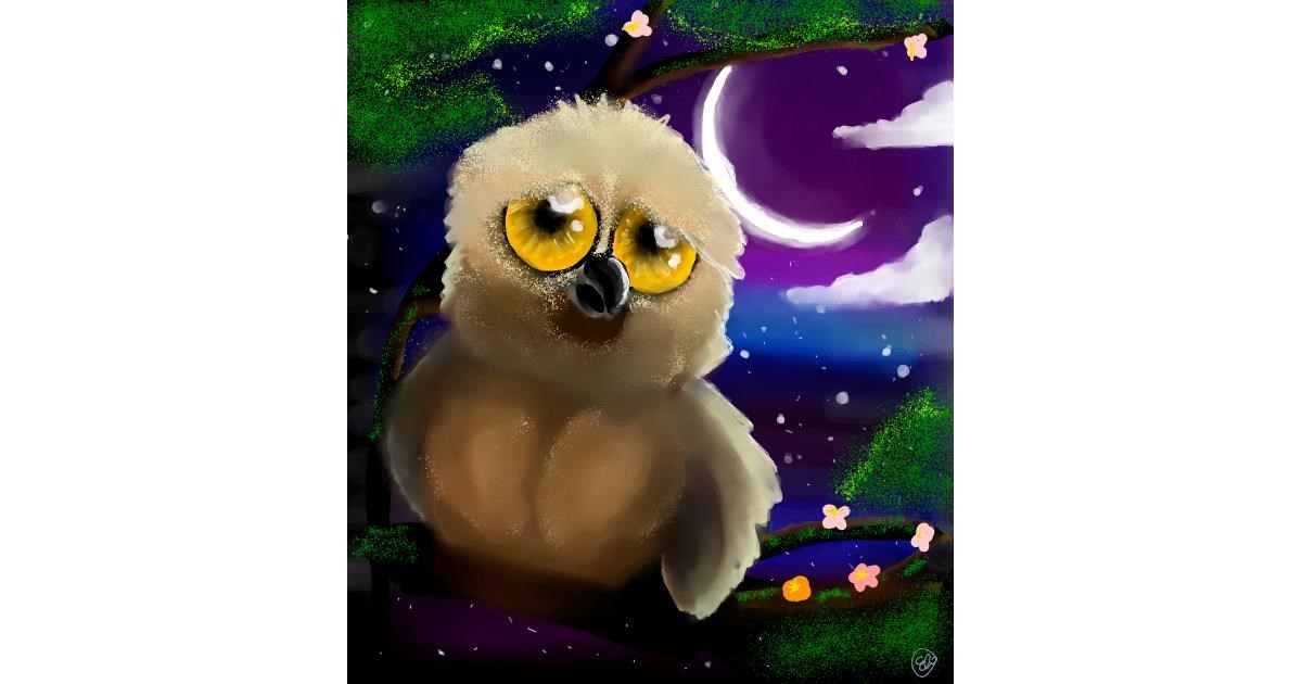 Drawing of Owl by 🌌Mom💕E🌌