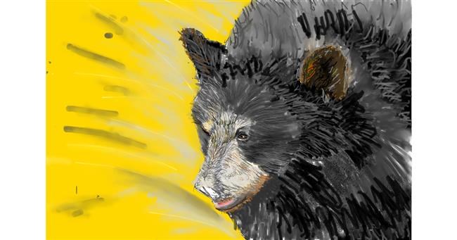 Drawing of Bear by teidolo